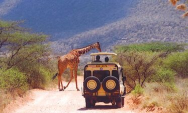 Budget Camping Safari (5 Days – Samburu & Amboseli)