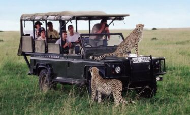Kenya & Tanzania Combo (12 Days – Masai Mara, Serengeti, Ngorongoro)