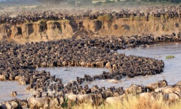 Great Migration Safari (7 Days – Mara/Serengeti)
