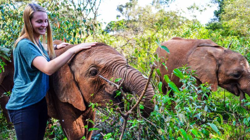 david-sheldrick-wildlife-trust-photo-by-joe-yogerst-